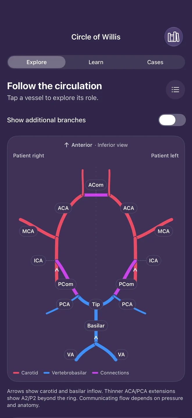 2.0 Circle of Willis preview with the arterial diagram.