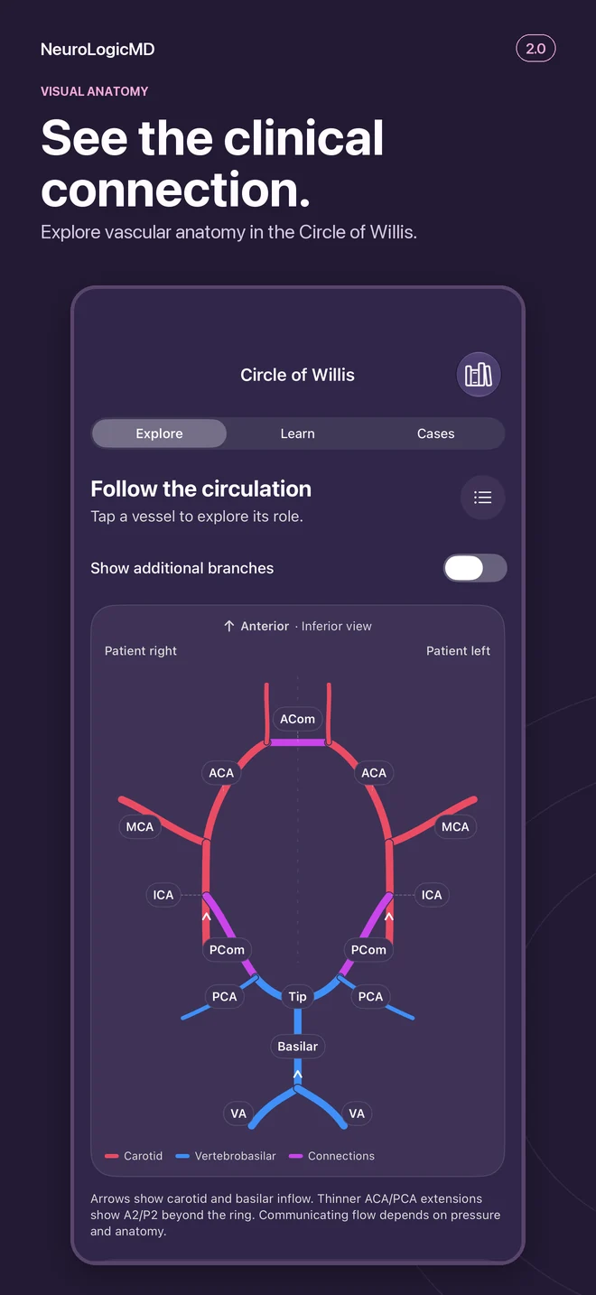2.0 anatomy preview: an interactive Circle of Willis.